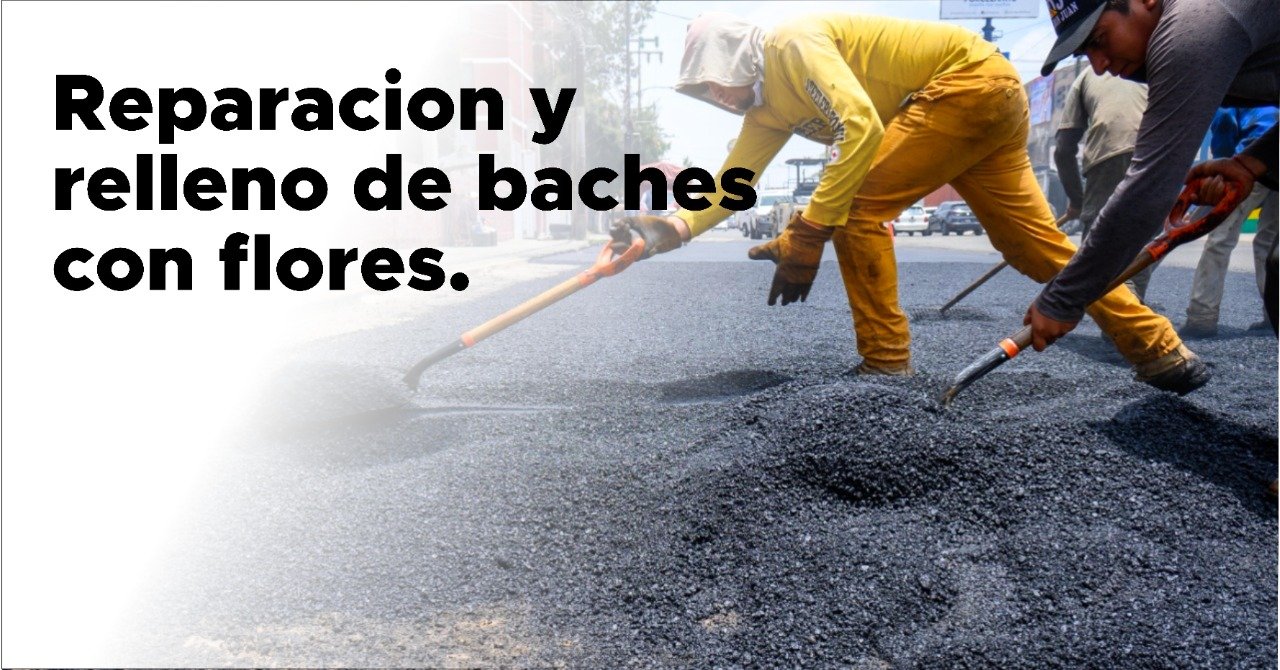 El Partido Verde intervendrá los baches de la Ciudad de México