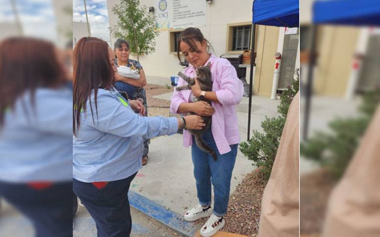 Inicia segunda jornada de esterilización de mascotas en Parajes del Sur