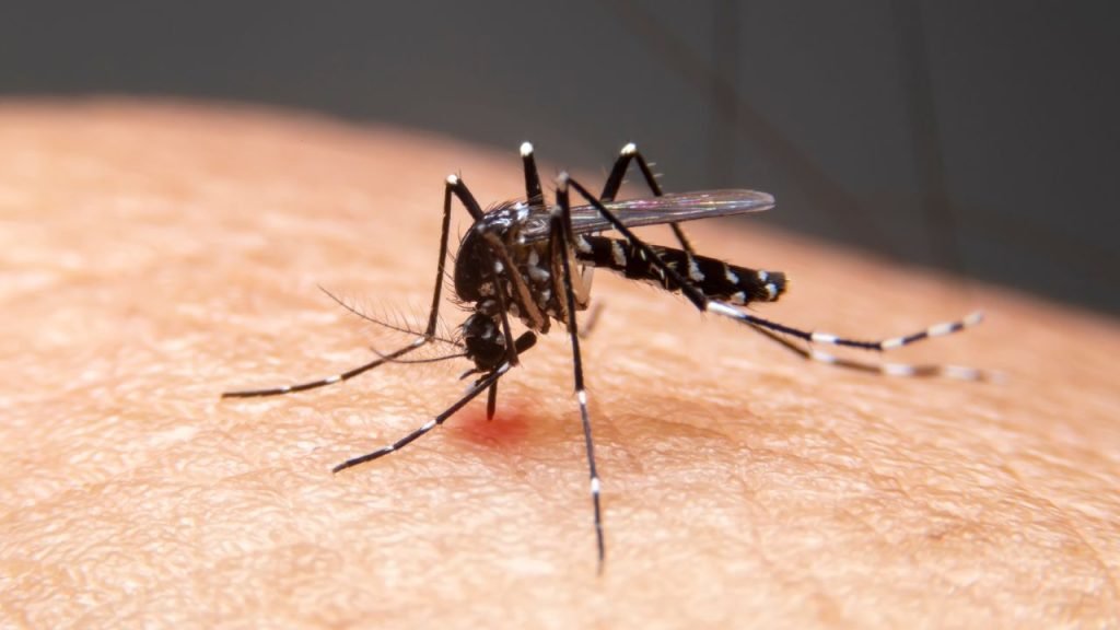 Aumentan casos de dengue
