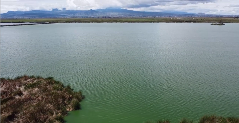 Abastecimiento y Distribución del Agua