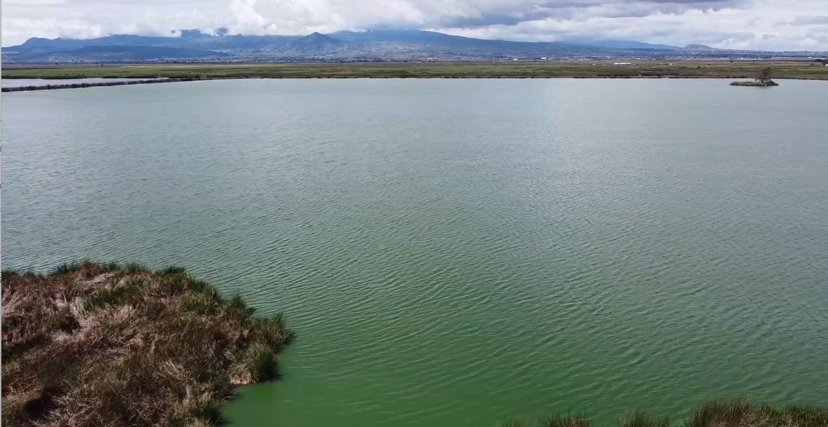 Abastecimiento y Distribución del Agua
