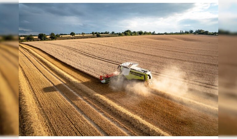 «Desbloquea el Potencial Agrícola: ¿Es hora de reforzar los programas de apoyo a la productividad en el sector rural?»