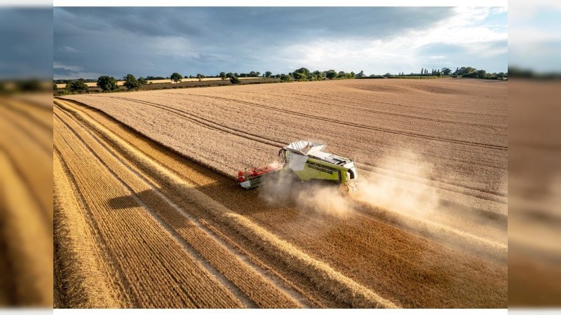 «Desbloquea el Potencial Agrícola: ¿Es hora de reforzar los programas de apoyo a la productividad en el sector rural?»